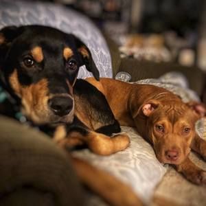 Meet your Posher, Aimelie